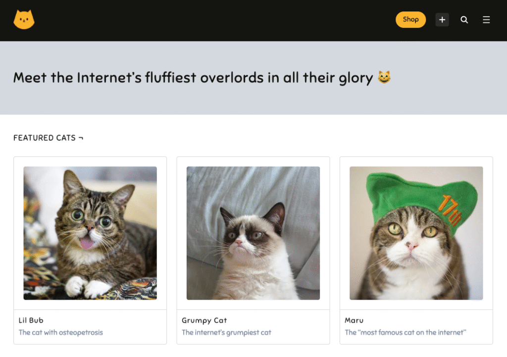 Cats of the Web 1 cotw image Cats of the Web