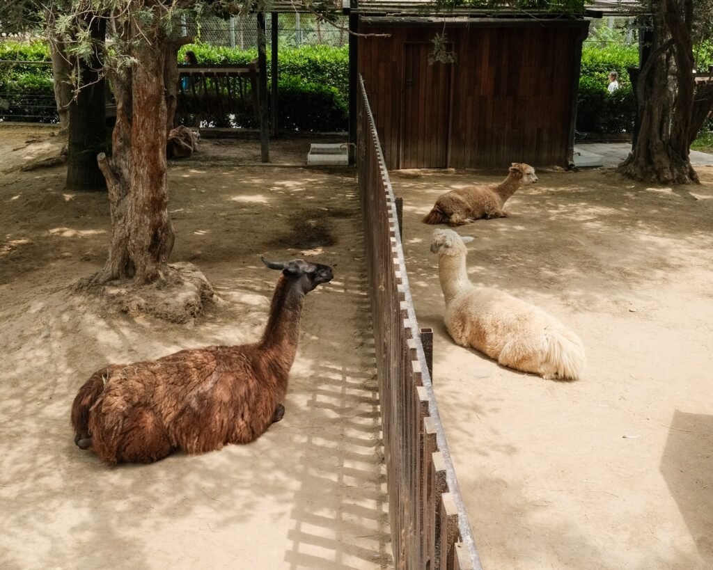 image 3796376 Photos