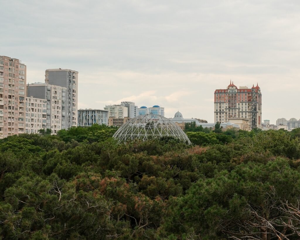 image 5366569 Photos
