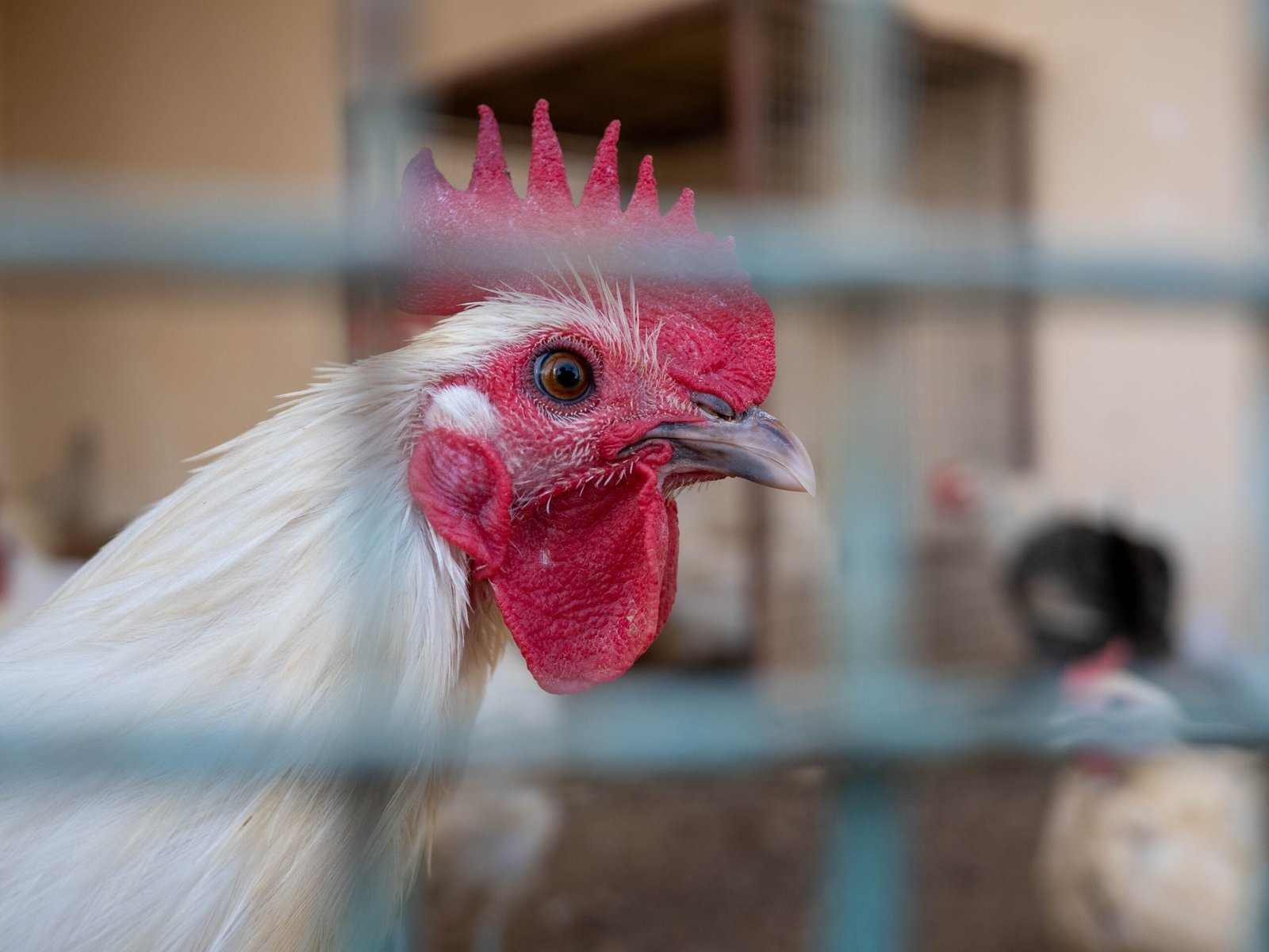 P1045522 scaled How to build a WordPress block theme